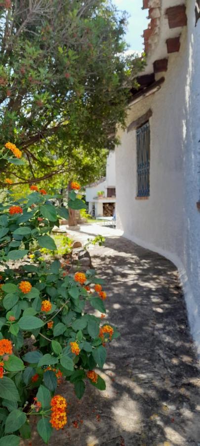 Viagramsci129 Villa San Teodoro  Dış mekan fotoğraf